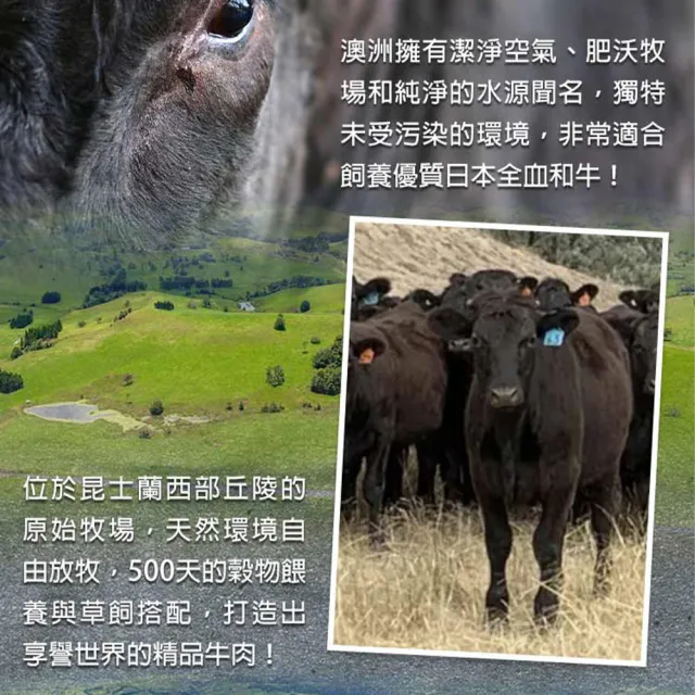 【愛上吃肉】澳洲純血和牛手切橫膈膜5盒(150g±10%/盒 橫膈膜內裙肉/胸腹肉/中秋烤肉/燒烤)