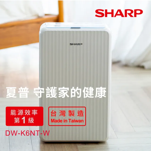 【SHARP 夏普】一級能效6公升高效除濕機(DW-K6NT-W)