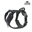 【DOG Copenhagen】Comfort Walk Pro Y型減壓胸背帶-XS(防暴衝旗艦款)