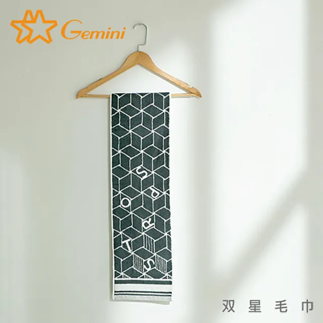【Gemini 雙星】台灣製100%純棉-幾何跨界運動毛巾(超值2入組)