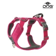 【DOG Copenhagen】Comfort Walk Pro Y型減壓胸背帶-L(防暴衝旗艦款)