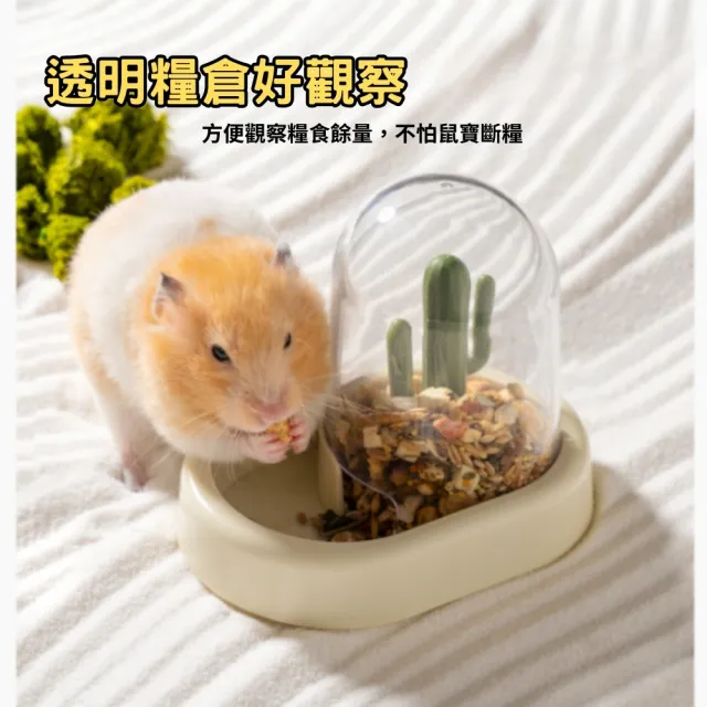 【Petvibe】仙人掌倉鼠餵食器(倉鼠食盆/倉鼠碗/倉鼠飼料盆/小寵食盆)