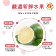 【樂活e棧】繽紛蒟蒻水果冰粽-檸檬口味8顆x3盒(端午 粽子 甜點 全素)