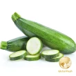 【盛花園蔬果】台南新化綠櫛瓜1kg x3袋(可生食_做沙拉)