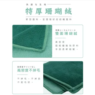 【金獎】塵咬巾 珊瑚絨特厚抹布 30X38cm 1入(顏色隨機)