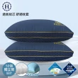 【Hilton 希爾頓】翱翔海軍藍銀纖維石墨烯萊賽爾獨立筒枕(枕芯x1+枕套x1/枕頭/透氣枕)