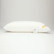 【HOLA】3M Filtrete 淨呼吸健康防蟎枕心－加高型