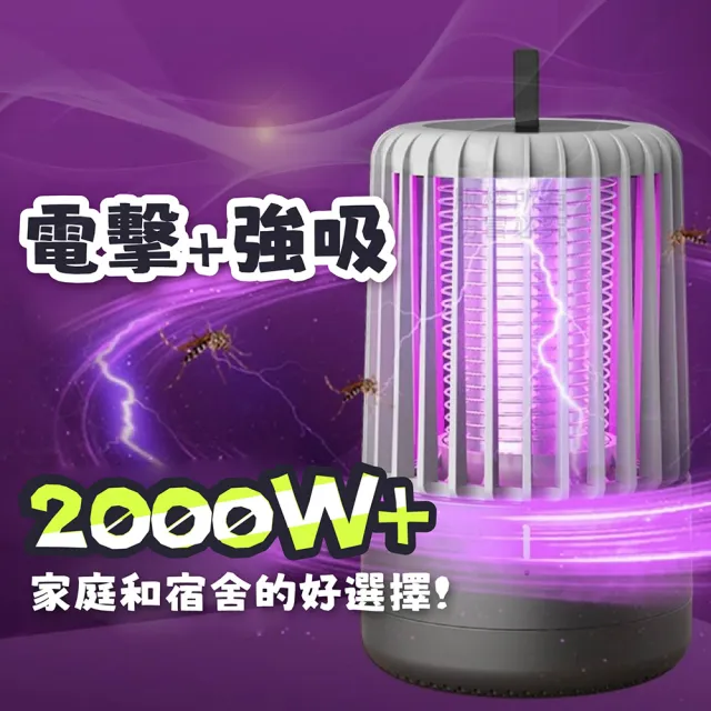 【Nick Shop】模擬人體溫度2000瓦高電擊USB吸入式滅蚊燈-2入組(7月型錄商品/捕蚊燈/紫光誘蚊)