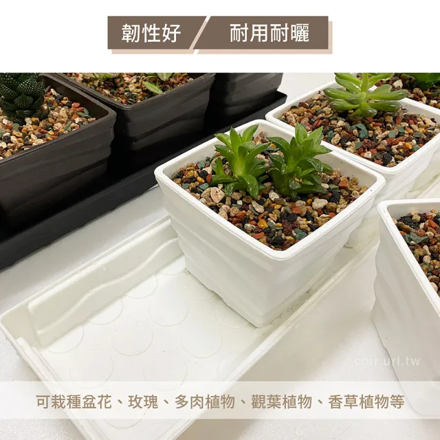 【超值典雅窗台花盆】波紋花盆x可排水托盤組合(盆厚耐用 多肉 觀葉 陽台)