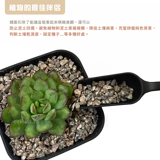 【瘋狂植物社】天然麥飯石2公斤裝-粒徑約3~6mm(鋪面石、淨化水質、種子盆栽、固定種子)