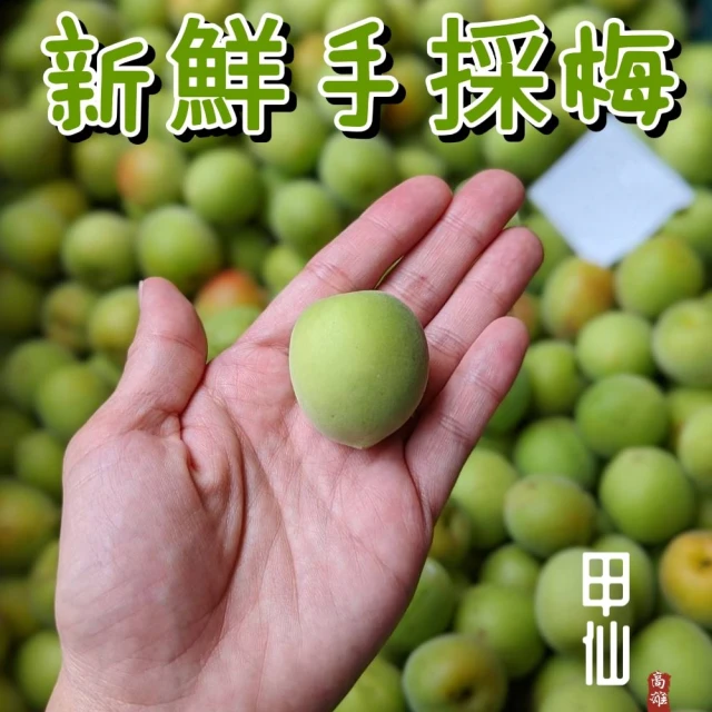 果語老師 高雄甲仙高品質新鮮手採青黃梅(大果30斤/箱)優惠