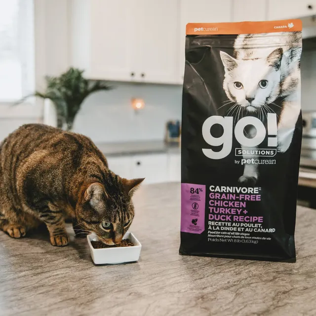 【Go!】四種肉8磅 貓咪高肉量系列 低碳水無穀天然糧(貓糧 低碳水 全齡貓 挑嘴 貓飼料 寵物食品)