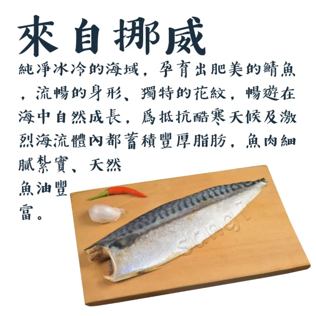 【賣魚的家】挪威鯖魚特惠組共10片組(1850g±10%/組)
