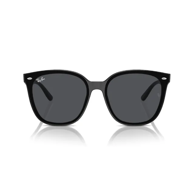 【RayBan 雷朋】大鏡片 膠框 太陽眼鏡 墨鏡(RB4423D 601/87、 645087、 601/93)