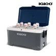 【IGLOO】MAXCOLD 系列五日鮮 70QT 冰桶 49972(保鮮保冷、露營、戶外、保冰、冰桶)