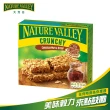 【Nature Valley 天然谷】天然谷燕麥棒 楓糖 210g(全球第一的點心棒)
