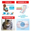 【KOCHO可嬌】NEO犬貓用長時間安心紙尿褲(寵物尿布/禮貌帶)