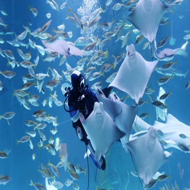 喜鴻假期 【不走人蔘保肝．新春釜山５日】伊甸園滑雪體驗、五星