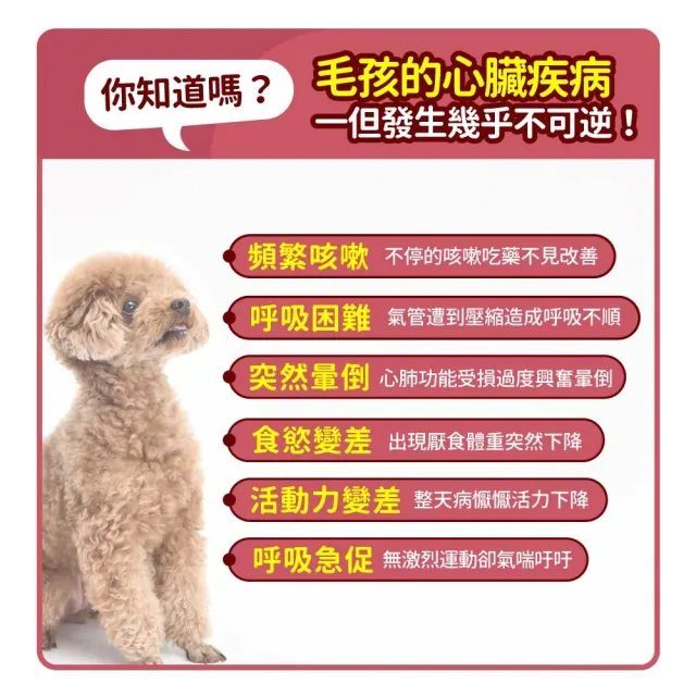 【毛孩時代】心臟專科保健粉x1盒(寵物保健品/貓狗心臟保健品/Q10)