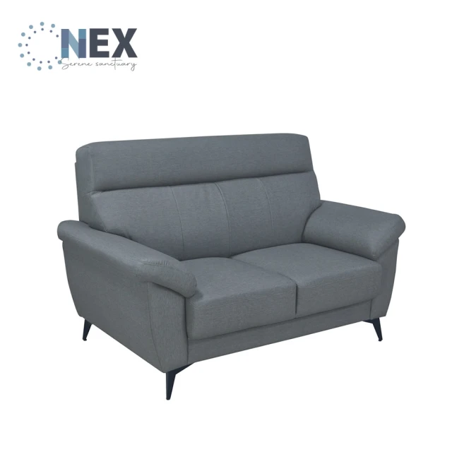 NEX 經典寬敞 雙人座/兩人座 耐抓皮 鐵灰沙發(皮沙發/沙發/兩人座/雙人)