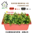 【蔬菜工坊】我家菜園大型種植盆磚(紅色.棕色 蔬菜槽菜槽花槽花盆)