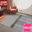 【JOSIC】100x120CM高級奢華北歐風可剪裁刮沙地墊/玄關墊/客廳墊(絲圈地墊 刮沙地墊)