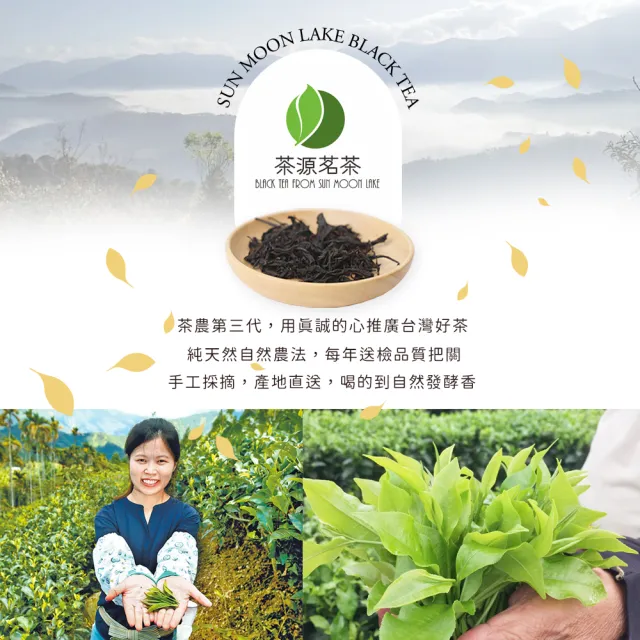 【茶源茗茶】小農直送日月潭原生種山茶紅茶100公克(產地直送 中秋禮盒 茶葉 冷泡茶 熱泡茶)