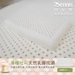 【班尼斯】經典天然乳膠枕頭-五款任選-百萬馬來西亞製正品保證•附抗菌布套、手提收納袋(枕頭)
