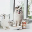 【Now!】鮮食利樂貓餐包 182g 6件組 口味任選(貓罐 鮮食 主食罐 肉絲 肉泥)