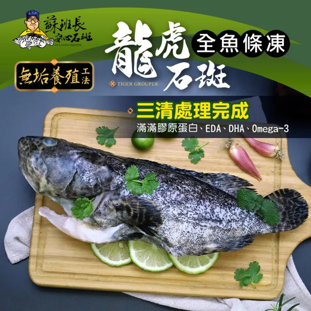 【蘇班長安心石斑】龍虎石斑鮮魚條凍700g 3入組 歐盟食安標準 得獎最多的石斑(龍虎石斑 龍膽石斑 永安石斑)