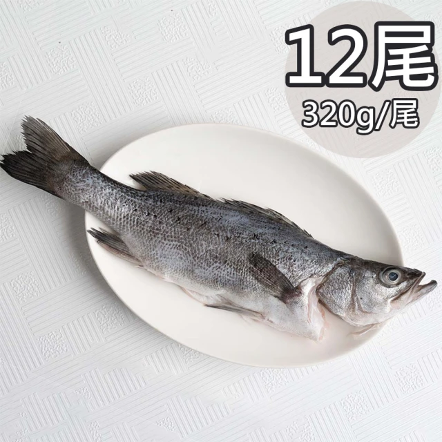 天和鮮物 日本真鱸12包(320g/尾)