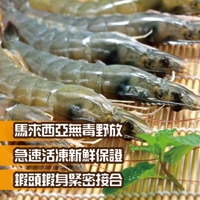 【鮮綠生活】無毒野放活凍超大白蝦 4盒(600g±10%/盒 約20-30尾/盒)