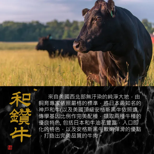 【漢克嚴選】美國和鑽牛PRIME雪花嫩肩牛排8片(200g±10%/片)