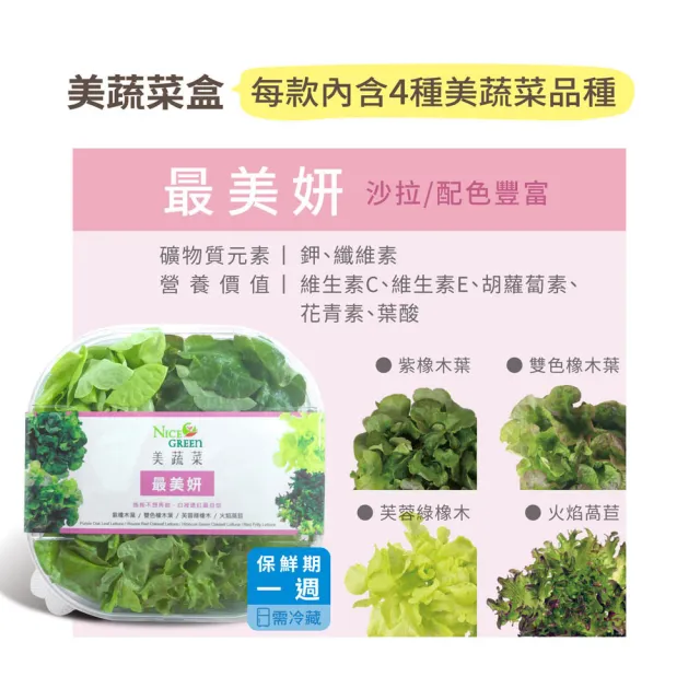 【NICE GREEn 美蔬菜】美蔬菜盒4入含運組送4包沙拉醬(萵苣 生菜 沙拉 蔬菜 防疫健康組)