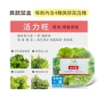 【NICE GREEn】美蔬菜盒6入免運組送6包沙拉醬(萵苣 生菜 沙拉 蔬菜 防疫健康組)