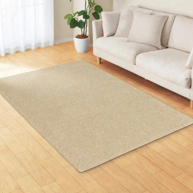 范登伯格 創意時尚地毯-圖紋(160x230cm)評價推薦