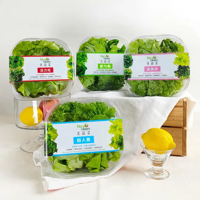 【NICE GREEn 美蔬菜】美蔬菜3盒+金線連紅棗黑木耳露8瓶送3包沙拉醬(生菜 黑木耳露 養生飲品)