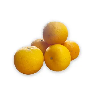 【甜露露】南非砂糖橘3斤x1盒(3台斤±10%)