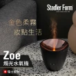 【瑞士 Stadler Form】香氛水氧機 玫瑰金緻/可添加精油(Zoe黑)