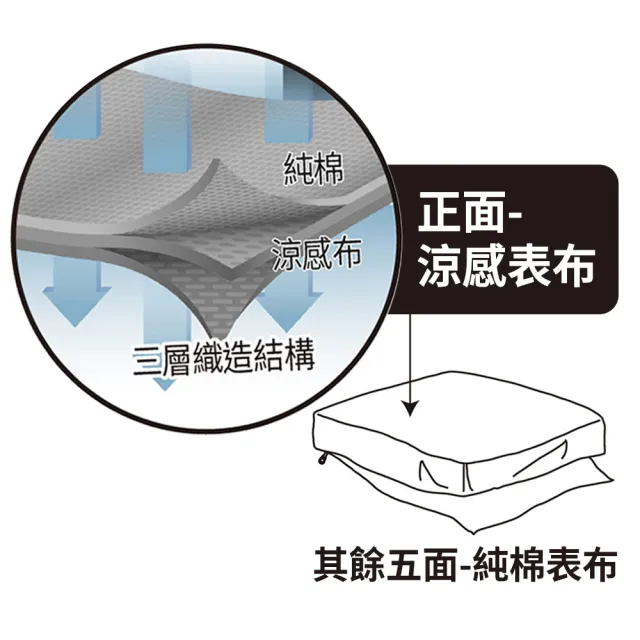 【3M】全面抗蹣涼感防蹣純棉兩用被床包四件組(雙人)