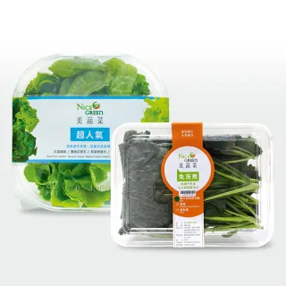 【NICE GREEn 美蔬菜】美蔬菜3入+羽衣甘藍盒3入送3包沙拉醬(生菜 沙拉 蔬菜 萵苣 羽衣甘藍)