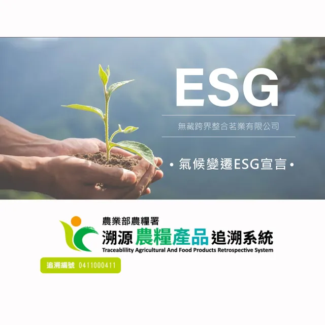【無藏茗茶】中秋送禮推薦 四入祝福禮盒-福客盈門(茶葉禮盒/畢業禮物/祝賀禮盒/附提袋)(茶葉禮盒)