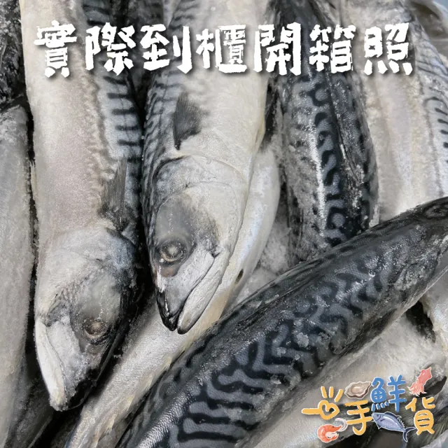 【一手鮮貨】無鹽整尾挪威鯖魚(2尾組/單尾600g-650g/鯖魚)