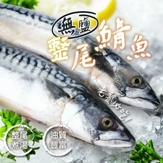 【一手鮮貨】無鹽整尾挪威鯖魚(3尾組/單尾600g~550g/鯖魚)