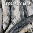 【一手鮮貨】無鹽整尾挪威鯖魚(3尾組/單尾600g-650g/鯖魚)