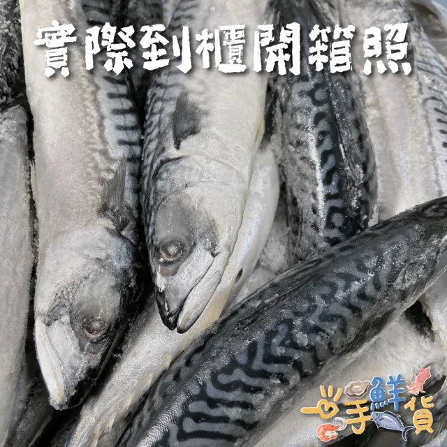 【一手鮮貨】無鹽整尾挪威鯖魚(5尾組/單尾600g-650g/鯖魚)