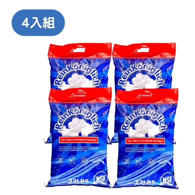 GE 奇異 極光奈濾淨水器600G(0.001微米G+奈濾荷