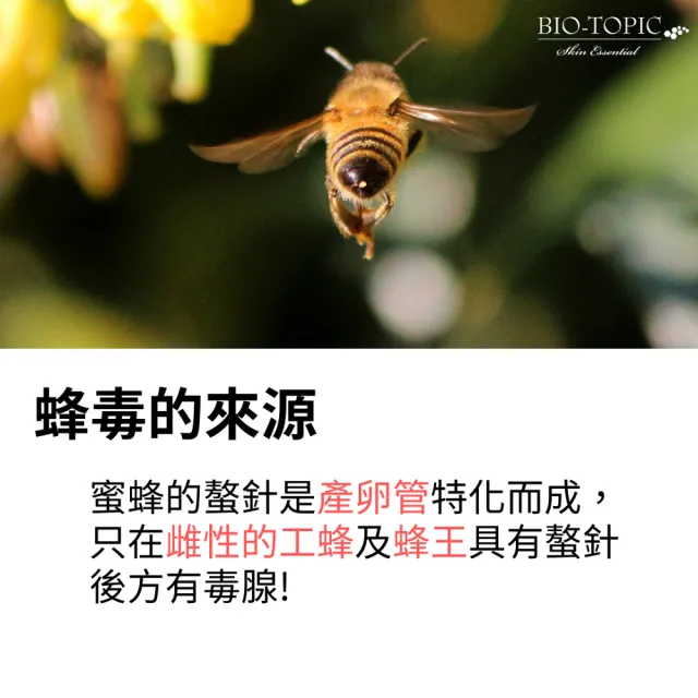【BIO-TOPIC 塔碧絲】活齡超值K組