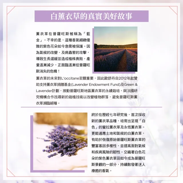 【L’Occitane 歐舒丹】官方直營 白薰衣草護手霜30ml