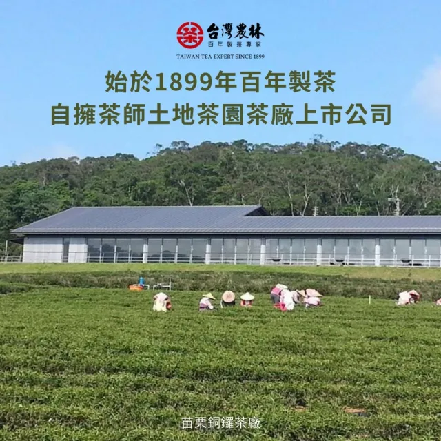 【台灣農林】台茶風華 碧螺春綠茶2盒組(天然製材茶包2.5gx20入/盒)